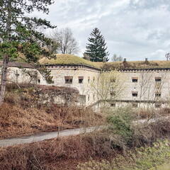 25-03-24 11-59-19 2615